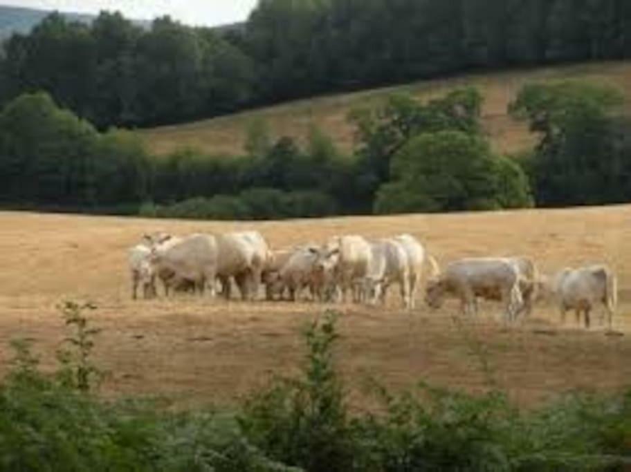 La Ferme Des Pierrettes Menneville Exterior foto